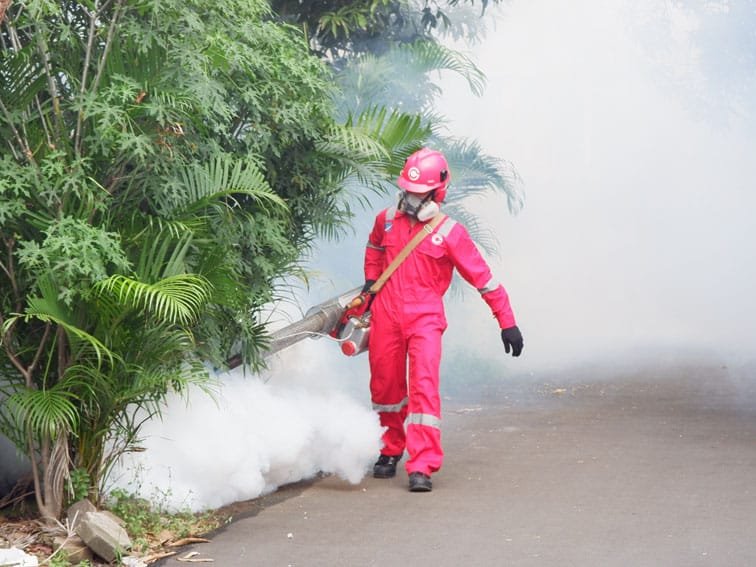Jasa Fogging Nyamuk di Cikarang Terdekat