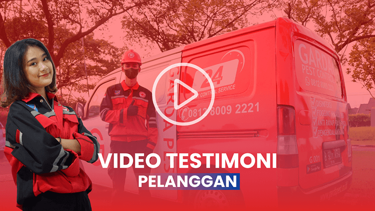 Testimoni Garda Pest