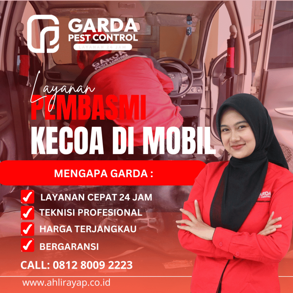 Jasa Pembasmi Kecoa Mobil di Semarang