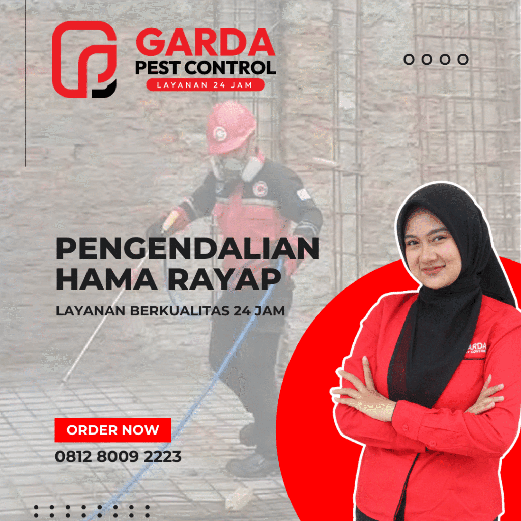 Jasa Anti Rayap di Cilacap Dengan Harga Terjangkau