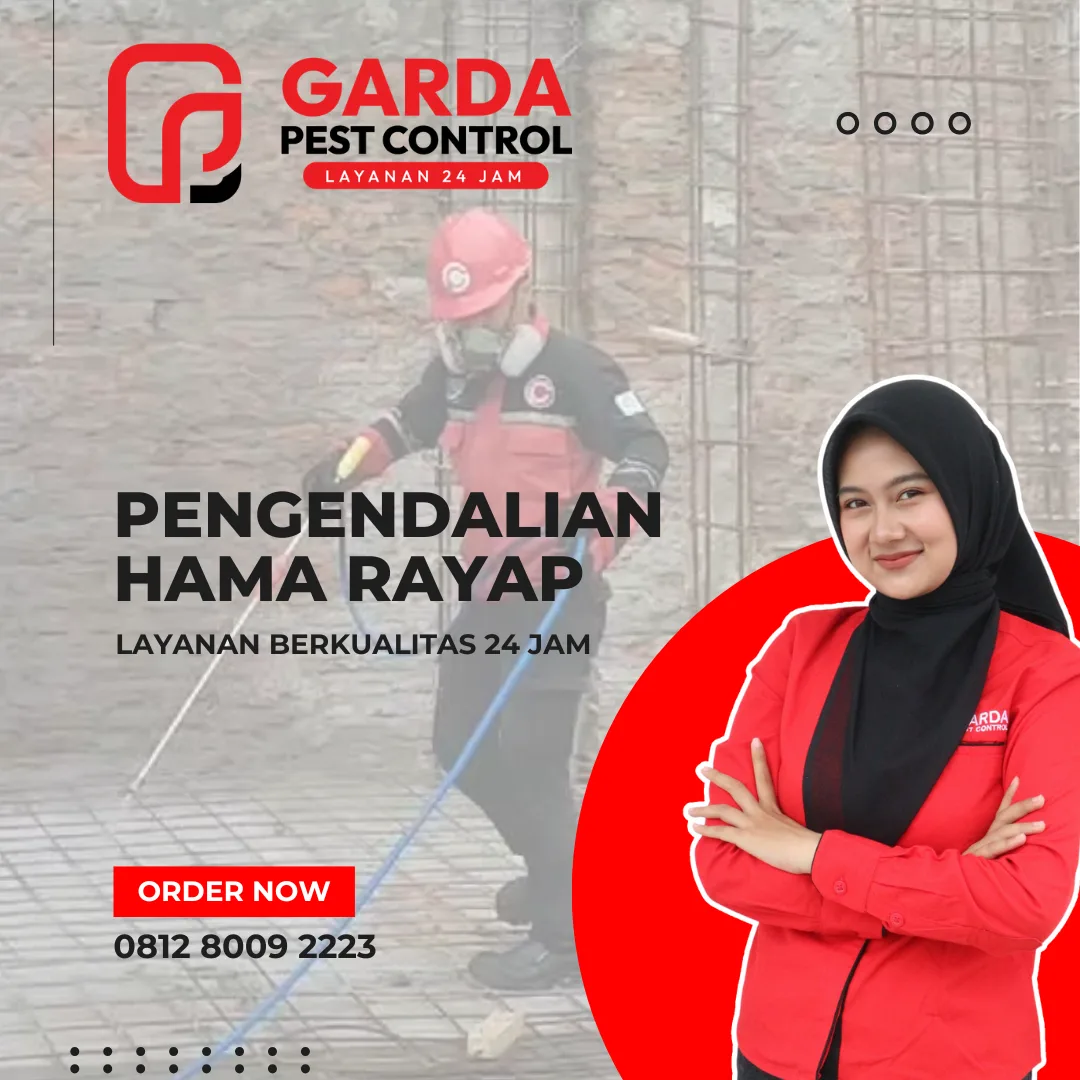 Jasa Anti Rayap di Cilacap Dengan Harga Terjangkau