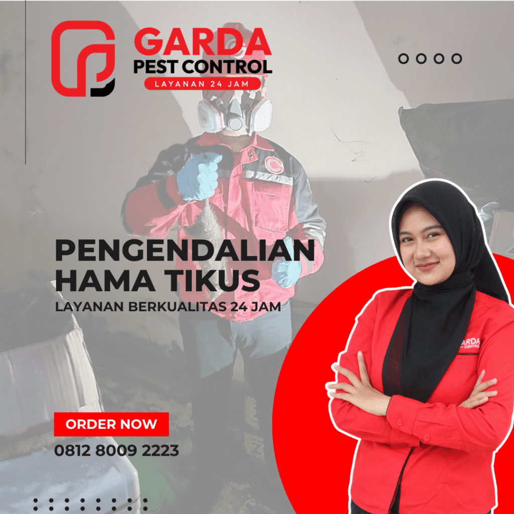 Jasa Pembasmi Tikus Terdekat