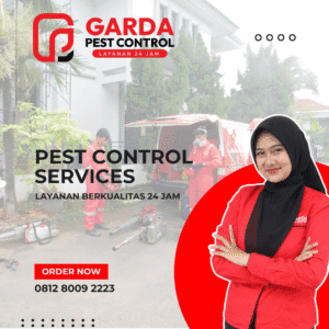 Jasa Pest Control untuk Dapur MBG Terdekat