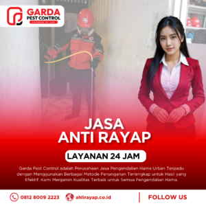 Jasa Anti Rayap Terbaik Solo: Lindungi Aset Anda dengan Ahli Rayap Profesional