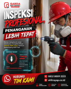 Jasa Anti Rayap No.1 Terbaik dan Terkemuka Semarang