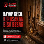 Anti Rayap di Bandung Timur