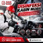 Jasa Disinfektan Mobil Bandung Virus Influenza A