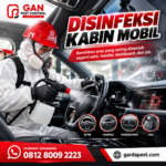 Jasa Disinfektan Mobil Bandung Virus Influenza A